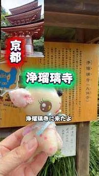 🌈７月８日✨京都、浄瑠璃寺に行って来たよ