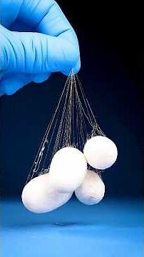 Making Fabric From Caterpillar Cocoons #science #technology
