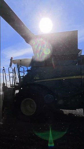 CANADIAN FARMER - YOUR DAILY DOSE OF FARMING - # 10 - BLAZING SUNRISE in the SOYBEAN FIELD #farming
