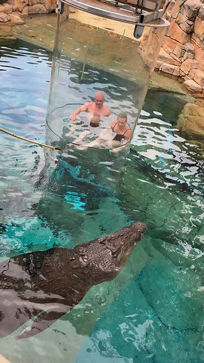 Jump into the Croc enclosure? Huh?… YEP! 🐊 Get up closer than you ever have before with our CAGE OF DEATH experience! It’s exhilarating, safe and even more fun with your love beside you. 👏🏽 | Crocosaurus Cove Darwin