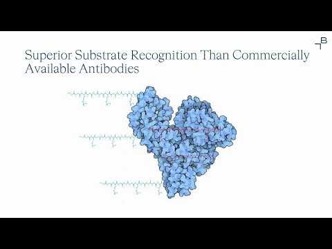 Custom Antibodies: Generating Solutions Where Others Cannot