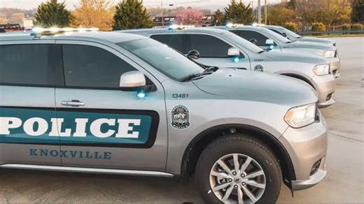 Knoxville police make 31 arrests around downtown, Old City