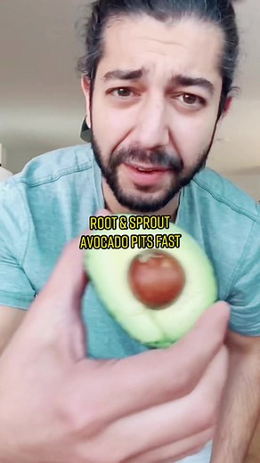 Fascinating Avocado Plant Tips: Grow Seed Without Toothpicks!