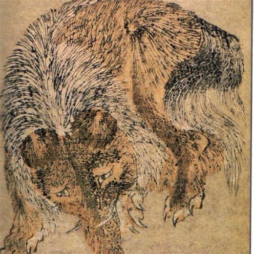Baku Dream Eater of China and Japan #baku #dreams #dreameaters #shorts