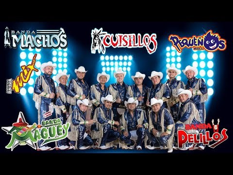 Banda Machos, Banda Maguey, Banda cuisillos, Banda El Recodo,... ✅ Tecno Bandas Mejor Musica
