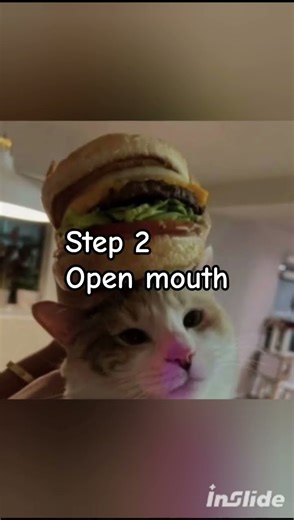 how to eat tutorial🍔