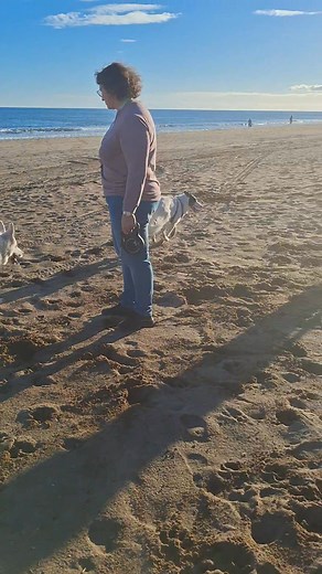 Chomsky et Orkane à la plage | Cricri Cousse