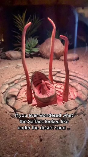 The Terrifying Truth About the Sarlacc Pit Revealed