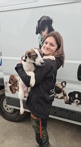 5.5K views · 596 reactions | ➡️ Es ist wieder soweit... die Reise...