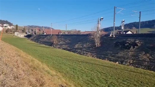 danke an den TF fürs makro und danke @Egli_2012 fürs filmen und war cool mit dir zu spotten und ja ich der voltrotel habe ins viedeo gewunken@bls.ch @SBB CFF FFS @Deutsche Bahn @SNCF Voyageurs @Rhätische Bahn 🚂🇨🇭 @login_Berufsbildung @Railwayphotographier_colin🇨🇭 @2_stroke_silu @𝓼𝔀𝓲𝓼𝓼𝓵𝓮𝓿ä @Trainspottoter_baselland