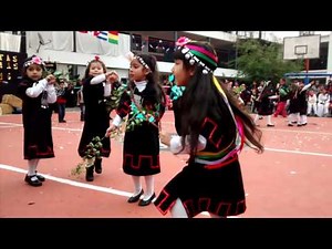 Baile mapuche