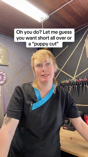 Understanding Dog Grooming and Pixie Cuts