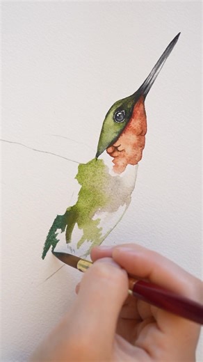 Painted Wing on Reels