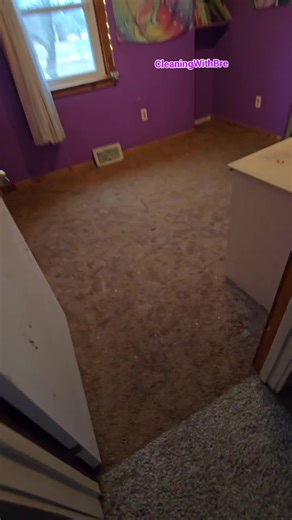 Daughter's Room Carpet Cleaning: Reveal After Transformation