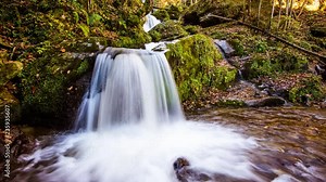 Time Lapse - Small river /waterfall floating through an idyllic forest