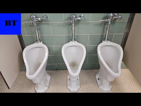 Early 1950's "Standard" Madstone Urinals and Tribor Toilets - USC Callcott Hall (Columbia, SC)