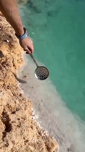 Salt Making process 🧂😱 #facts #dailyfacts #amazingfacts #LikeFollowShare #snoozyfacts #reelsfacebook #fbviral #viralvedio #short | Snoozy Facts