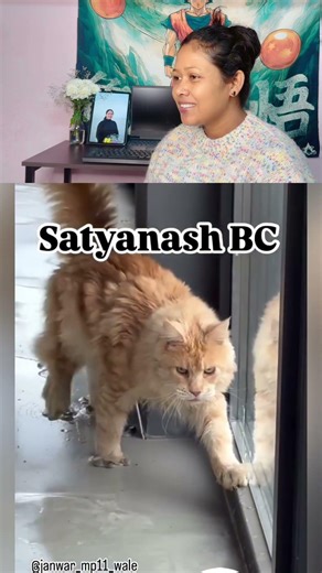 1 no kam huwa he malik check karlo #DogShorts #FunnyDog #TalkingDog #HindiShorts #DogMemes #PetMeme