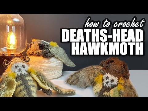 How to crochet a Deaths-head Hawkmoth!