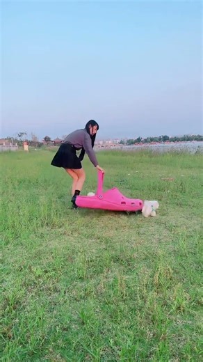 Teacup Dog #Pomeranian #Pomeranian Shunsuke (21)