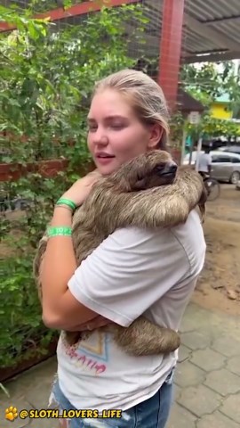 Naughty Animals Bringing Laughter with Surprise Encounters