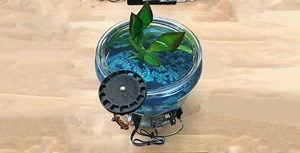This Arduino Is Feeding The Fishes