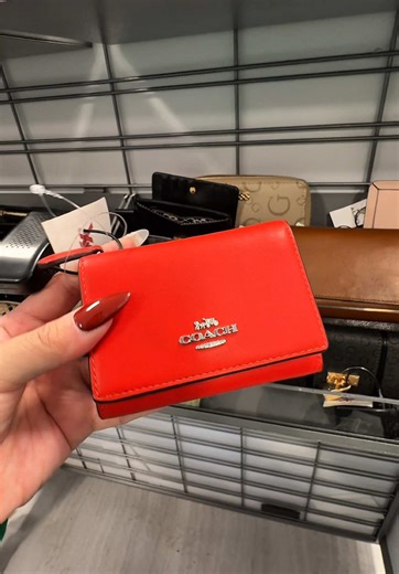 Charming Finds at TJ Maxx: Coach Wallet & Spring Jewelry