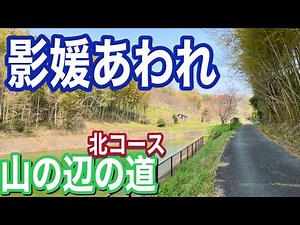 【大王と臣下が歌垣で対決】山の辺の道北コースを歩く② 影媛伝説を追う