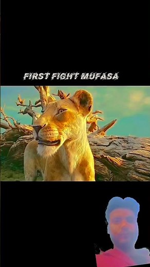 Mufasa first fight with 2 white lion incredible fight scene #mufasathelionking #movieshort 🦁#facts