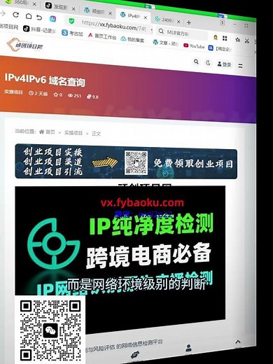 域名/IP 风险检测工具｜0–100 分精准评估#IP查询 #IPv6 #网络安全 #IP风控 #风险评估 #域名检测 #信息安全 #兼职副业 #副业工具