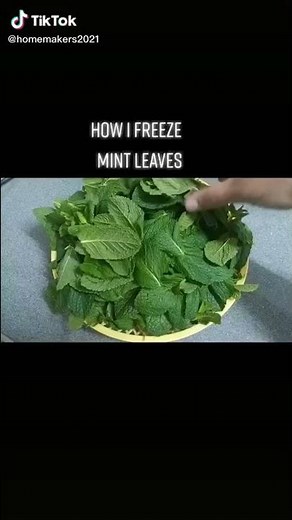 how to freeze mint leaves?