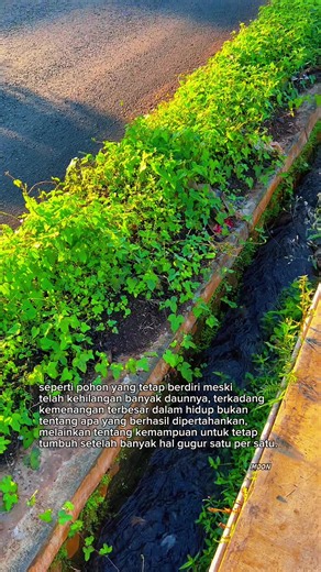 Friendship Quotes: Best Quotes Pertemanan for Sharing