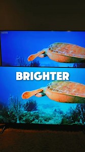 Upgrade your viewing experience with the Coocaa 55X72 QLED TV! 🌈 Featuring Quantum Dots and LED backlight technology, it delivers precise colors, brighter images, and improved HDR for vibrant, lifelike visuals. 🎉 With 2 years warranty and 30-day easy return, it’s time to step into a new world of entertainment. Visit our official store for more! 🔎 #CoocaaQLED #QLEDTV | coocaa