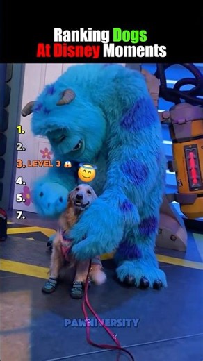 Ranking Dogs At Disney Moments 🥺