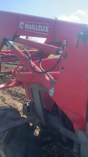 Planting Tulip Bulbs | Wicked Tulips