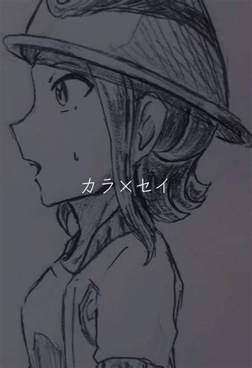 ポケモンZA: カラとセイの魅力