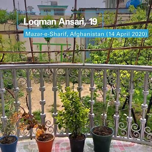 209K views · 87 shares | Join the brave young people of #Afghanistan, who under #lockdown took the challenge of documenting ‘view from my window’. Like and share our video!!! We call on #children & young people to join this challenge. Post a photo through your window & bring hope and a smile to many. Share it with us. Rashid Khan | UNICEF Afghanistan | Facebook