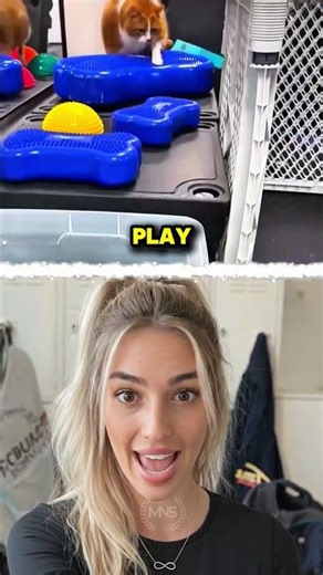 The cutest cat transformation you'll see today! ❤️🐾