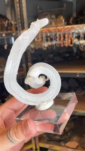 A stunning horn-shaped selenite specimen — known for its purifying and high-vibrational energy.  Perfect for cleansing your space, charging other crystals, or simply adding a touch of natural elegance to your collection. | Collector of Pretty Rocks | Facebook
