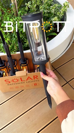 Transform Your Backyard with New Solar Pathway Lights