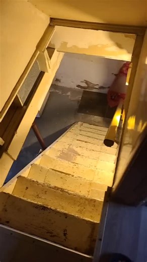 Exploring the Basement Demon Phenomenon