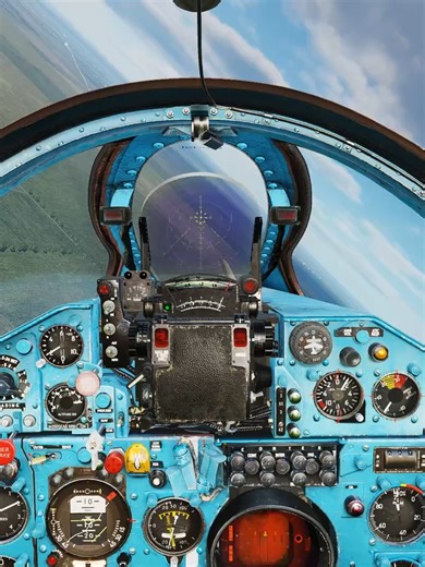 Phantom down!, DCS World, Heatblur Cold War server.