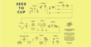 2.1K views · 18 reactions | FC SEED TO CUP ⚡️⚡️ . Coffee’s journey...