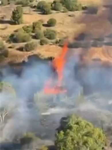 Concerns Grow Over Serial Arsonist in Sheidow Park