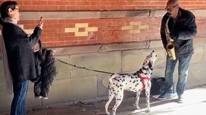 Viral Video: Dog Sings Along as Man Plays the Saxophone
