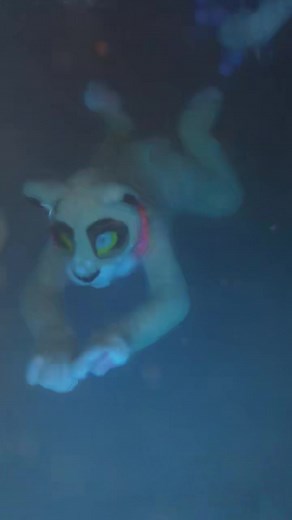 Washing and Swimming in a Washable Fursuit