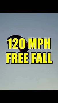 Freefall 10 Seconds — Your Body Changes