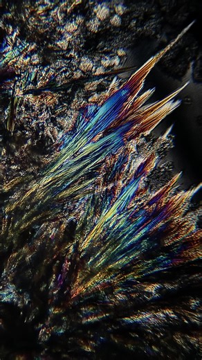 Helnium on Instagram: "🌱Menthol (C₁₀H₂₀O) is a naturally occurring organic molecule found in mint plants. It is a chiral cyclic alcohol that readily crystallizes due to weak intermolecular interactions. As menthol molecules self-organize into an ordered solid, their anisotropic crystal structure interacts with polarized light, revealing textures, patterns and colors invisible to the naked eye. #scienceart #menthol #crystallization #chemistry #selforganization"