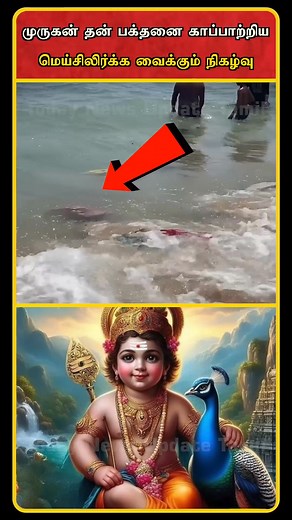 174K views · 10K reactions | Murugan Blessing Real Life | Real Life Murugan Story | Tiruchendur Murugan Temple | #shorts #tamil #shortsfeed | Hari Vox | Facebook