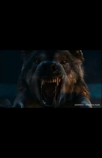 Bhediya: The Wild Link of Maddock Horror Universe! 🐺 | MCHU Explained